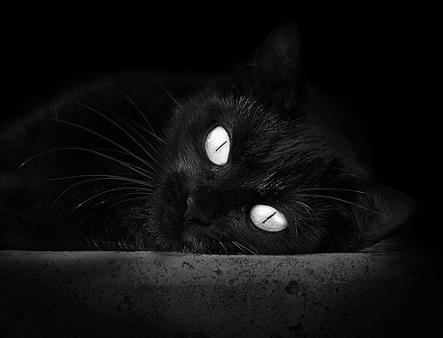 _申奥成功:打造未来城市最强体育名片_,申奥成功2025