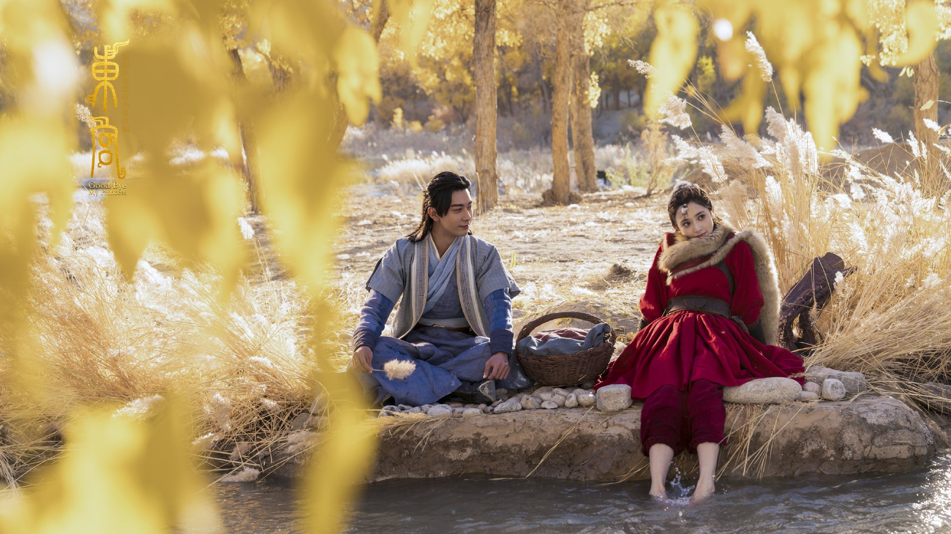 九游（jiuyou.com）游戏-“未来之星：中国青少年足球锦标赛精彩纷呈”，未来少儿足球俱乐部