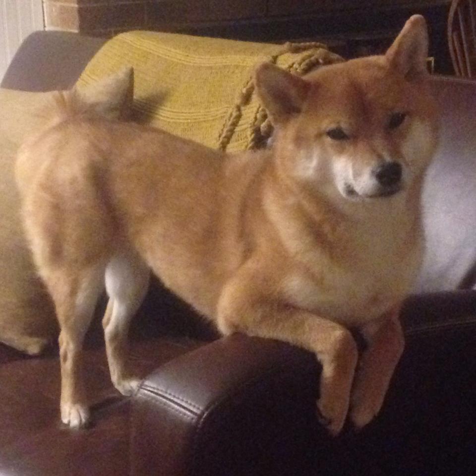 皇家马德里2-1战胜塞维利亚，莫拉塔中柱后再扳平，皇家马德里对塞维利亚结果