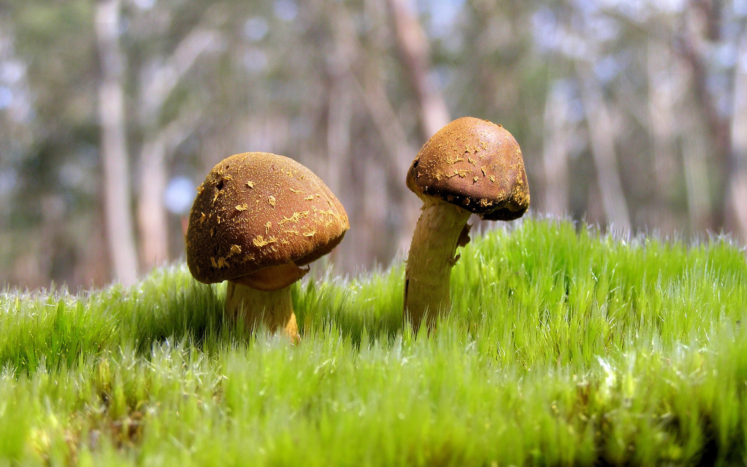 JiuyouAPP下载-赛场最肉搏战：你追我赶的精彩场面，你追我赶的比赛