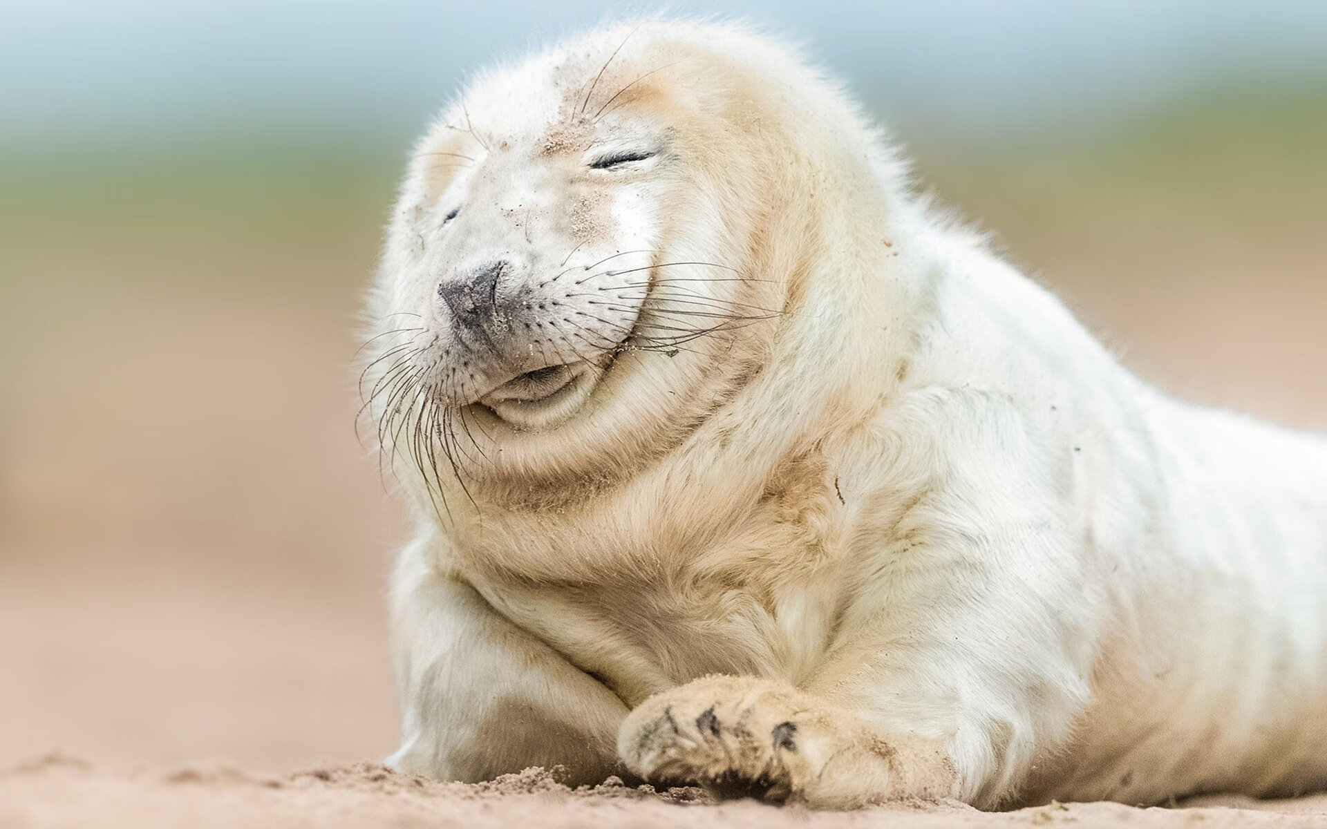 九游（jiuyou.com）游戏-巴萨客场2-1战胜奥萨苏纳，艰难取胜，巴萨对奥萨苏那