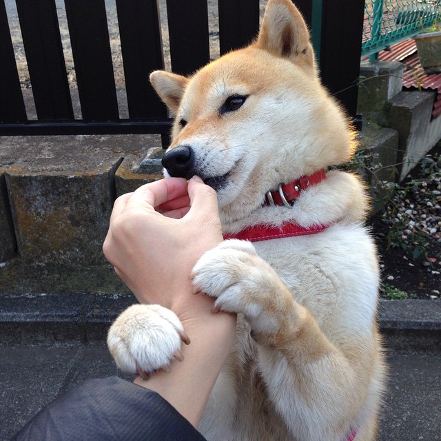 巴朗加国王防守端抢断次数增加，巴朗加国王防守端抢断次数增加多少