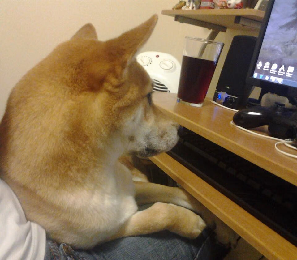 九游（jiuyou.com）游戏-欧洲杯最佳阵容公布，英格兰队占据最多席位，欧洲杯大名单公布 英格兰