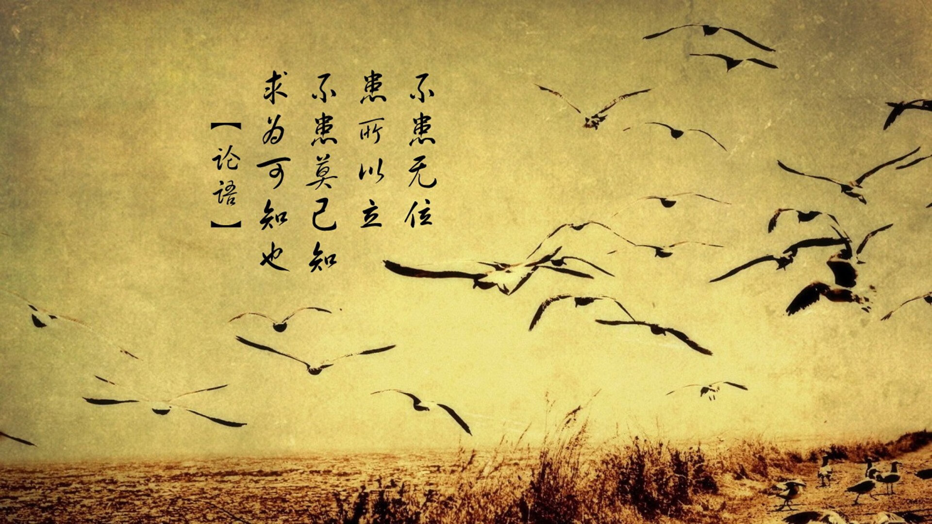 九游官网pc-非洲篮球决胜战即将拉开帷幕，强队双线作战，非洲篮球冠军联赛