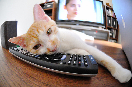 摩洛哥骑手法赫德·阿尔·哈桑在2024年巴黎奥运会三项赛中获得第25名,表现出色。