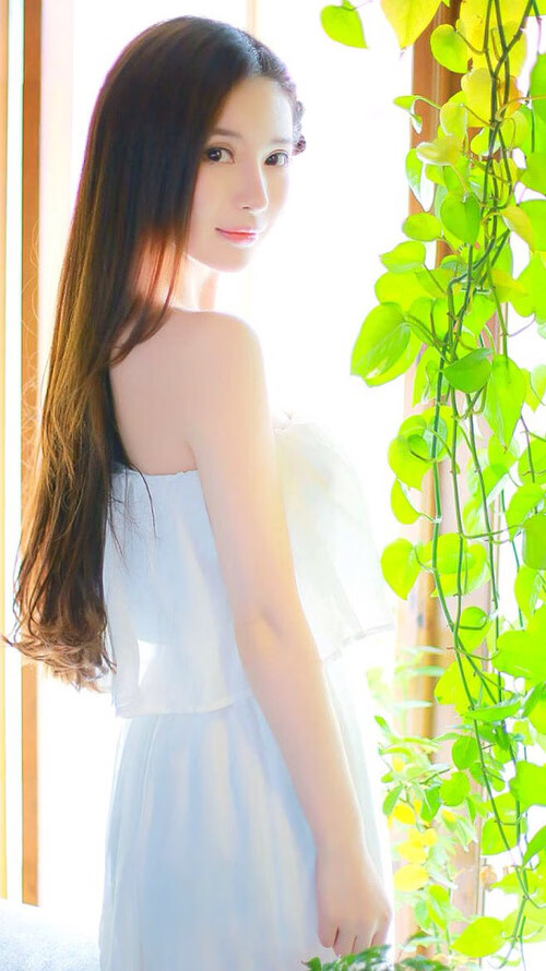 -日本马术协会举办国际马术科技大会，推动行业技术交流与合作。