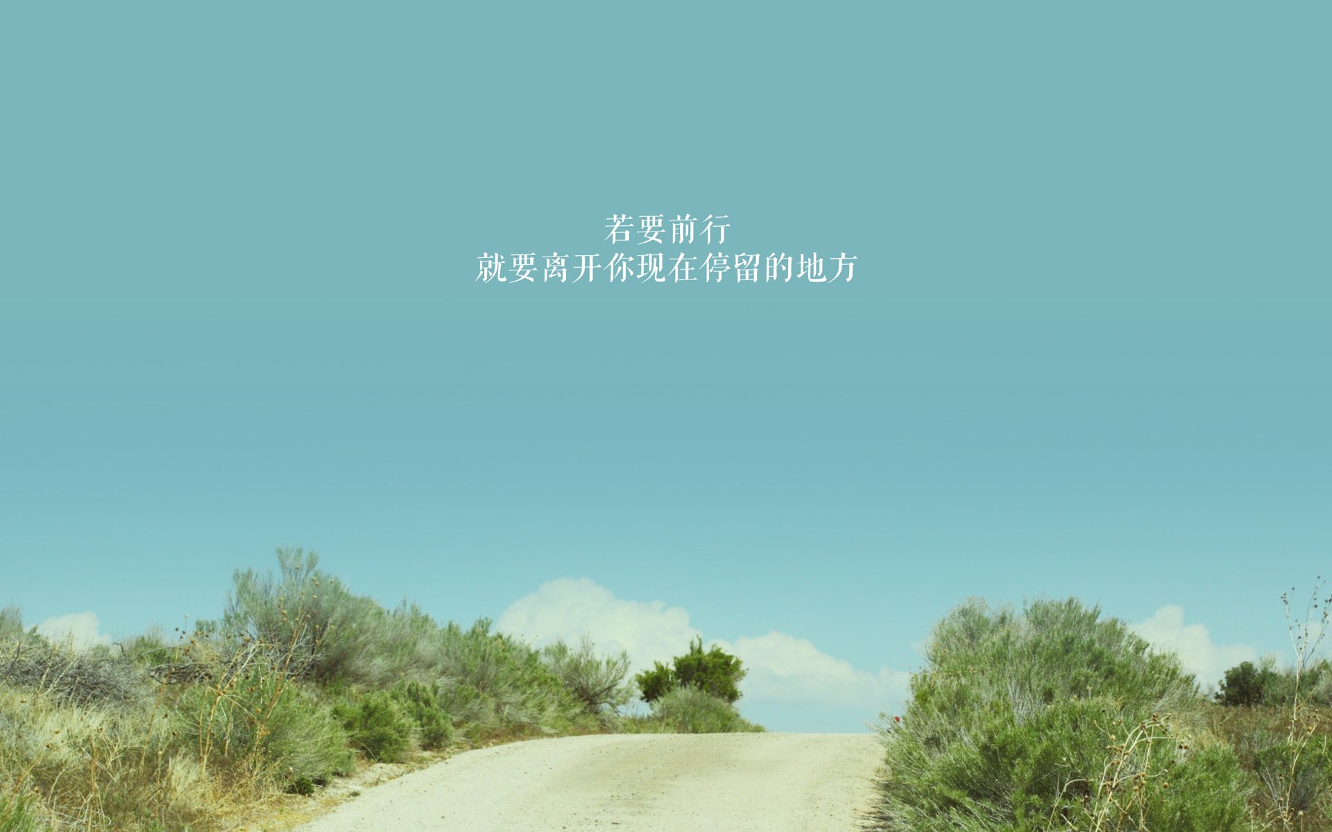 九游娱乐APP-勒沃库森连续冲击打穿密集防守，勒沃库森首发