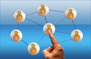 九游（jiuyou.com）游戏-德国队与国际乒联混合团体世界杯赛制的互动与挑战，德国队乒乓