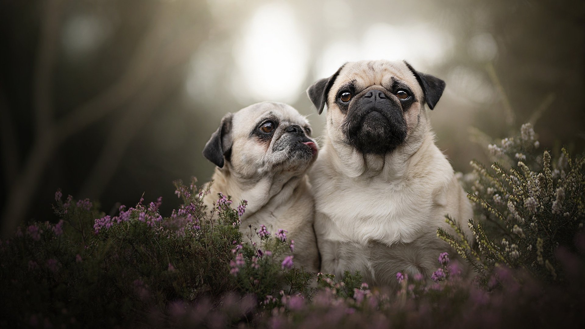 控球率是否真的能决定比赛节奏并逆转胜率，控球率高就能取胜吗