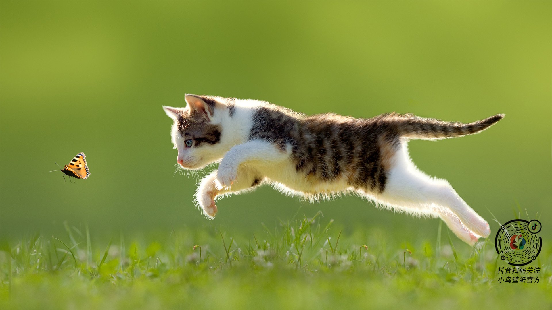 海湾者未来发展备受看好，潜力巨大，海湾技术