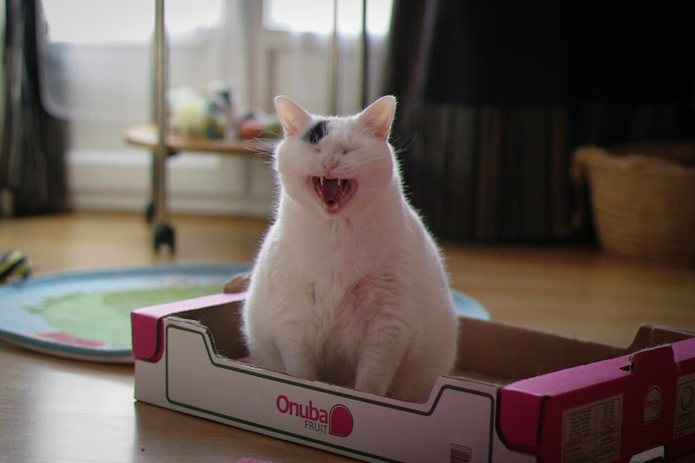 九游官网下载电脑版-球队将更多依赖结构完整的体系球员，球队越来越壮大