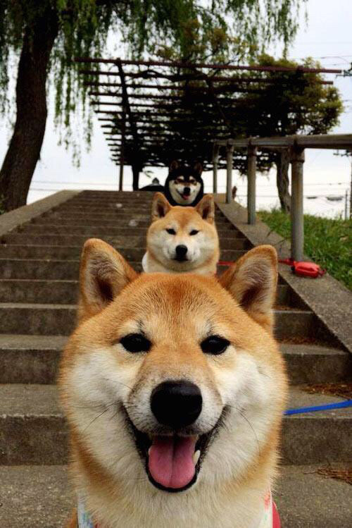 联盟中谁是无球跑动最积极的球员,联盟中谁是无球跑动最积极的球员呢