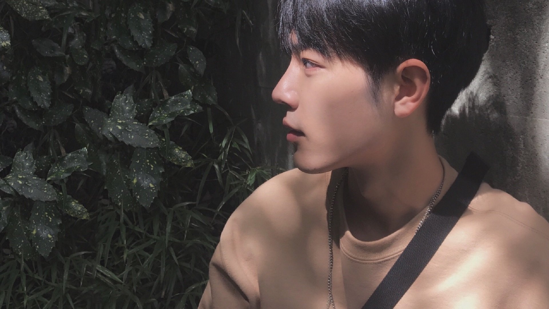 蛙泳技术提升显著，成绩稳步上升，蛙泳进阶训练