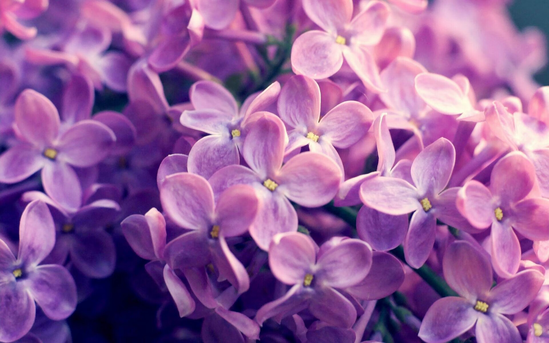 九游app官网下载-“亚戈·卡尔曼的精湛传球与强悍进攻，助阿根廷美洲狮队稳步提升”