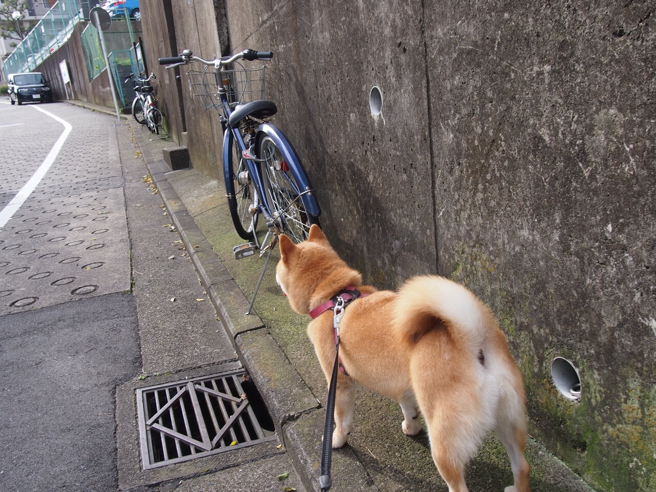 世界杯精彩瞬间：青春、激情、奇迹齐飞，世界杯精彩片段