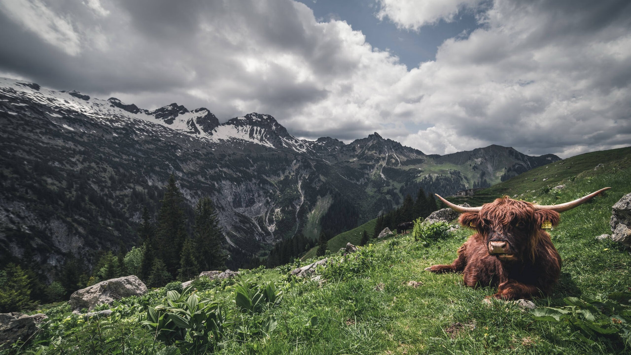 中小学篮球对抗赛落幕冠军队表现出色备受高校关注，2020小学篮球比赛