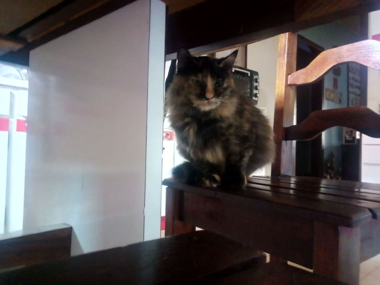 多哥男篮在非洲锦标赛中低调发力,追逐历史最佳成绩,非洲多哥现状