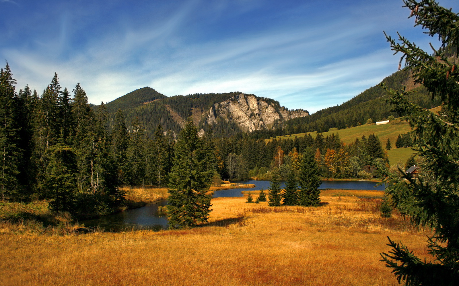 篮球文化传播活动丰富多样增强群众体育参与意识,篮球文化建设