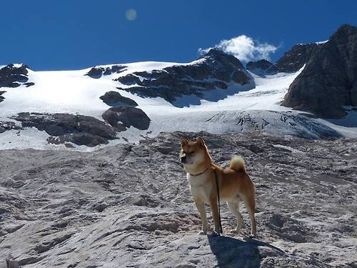 九游网页版官网-网坛黑马爆冷击败世界第一，黑马网球俱乐部