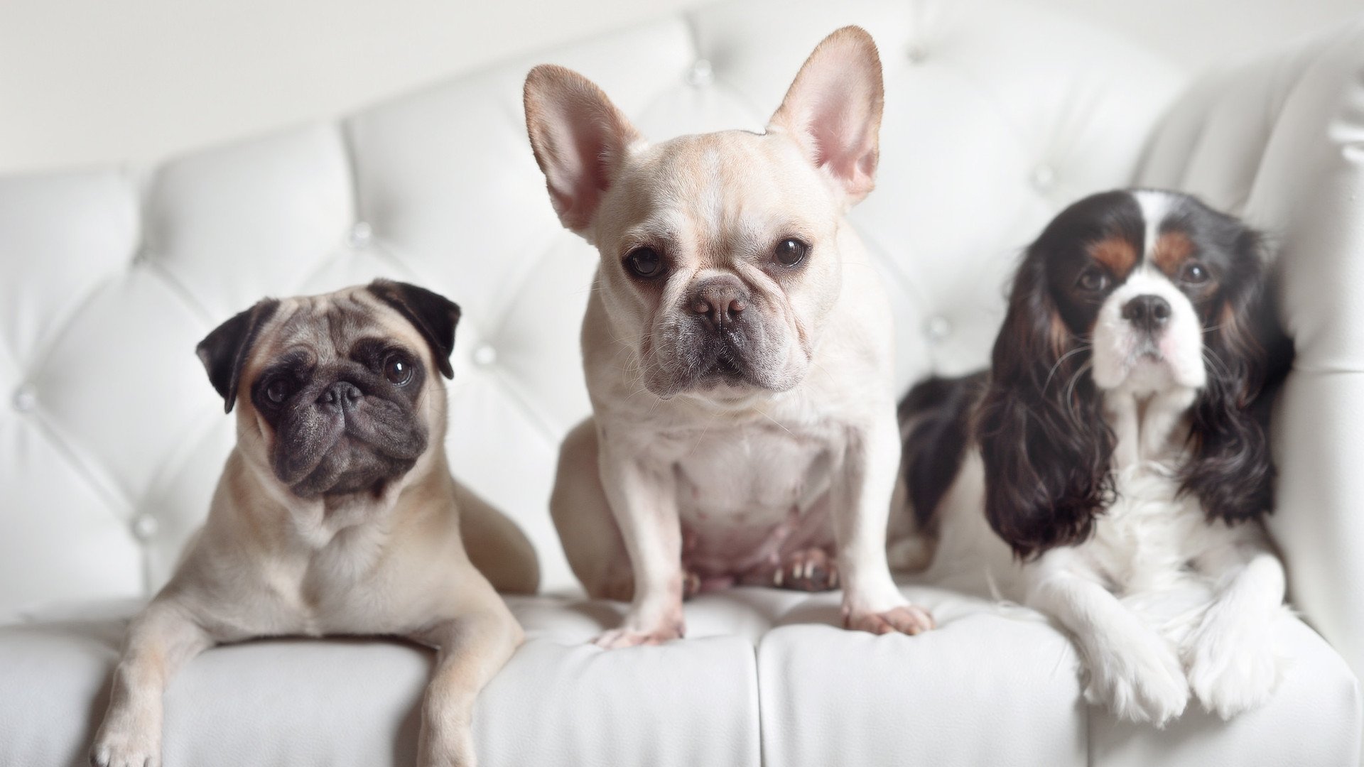 高强度赛程对球员体能构成巨大考验教练轮换成关键,职业球员体能